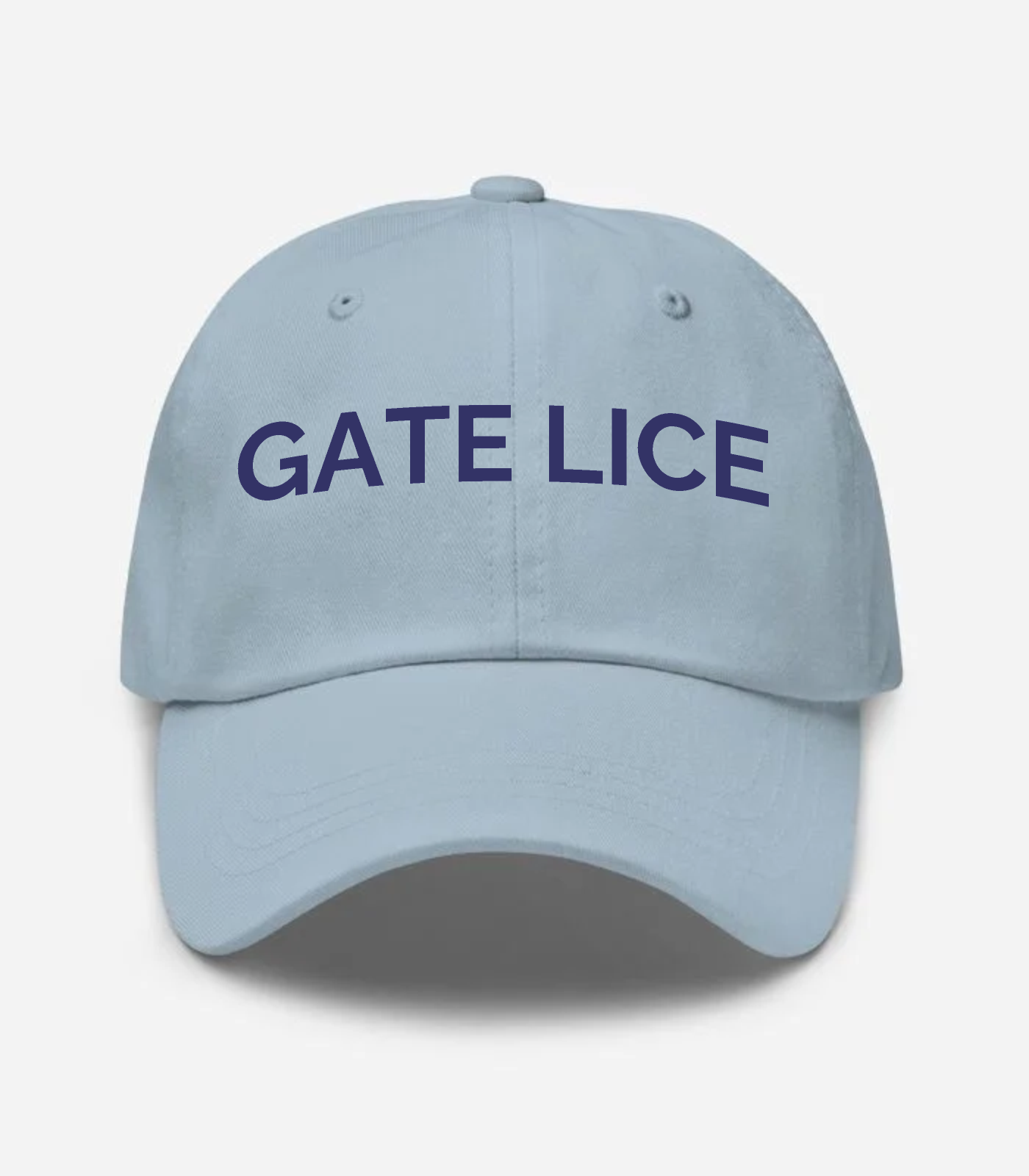 Gate Lice Hat - Light Blue
