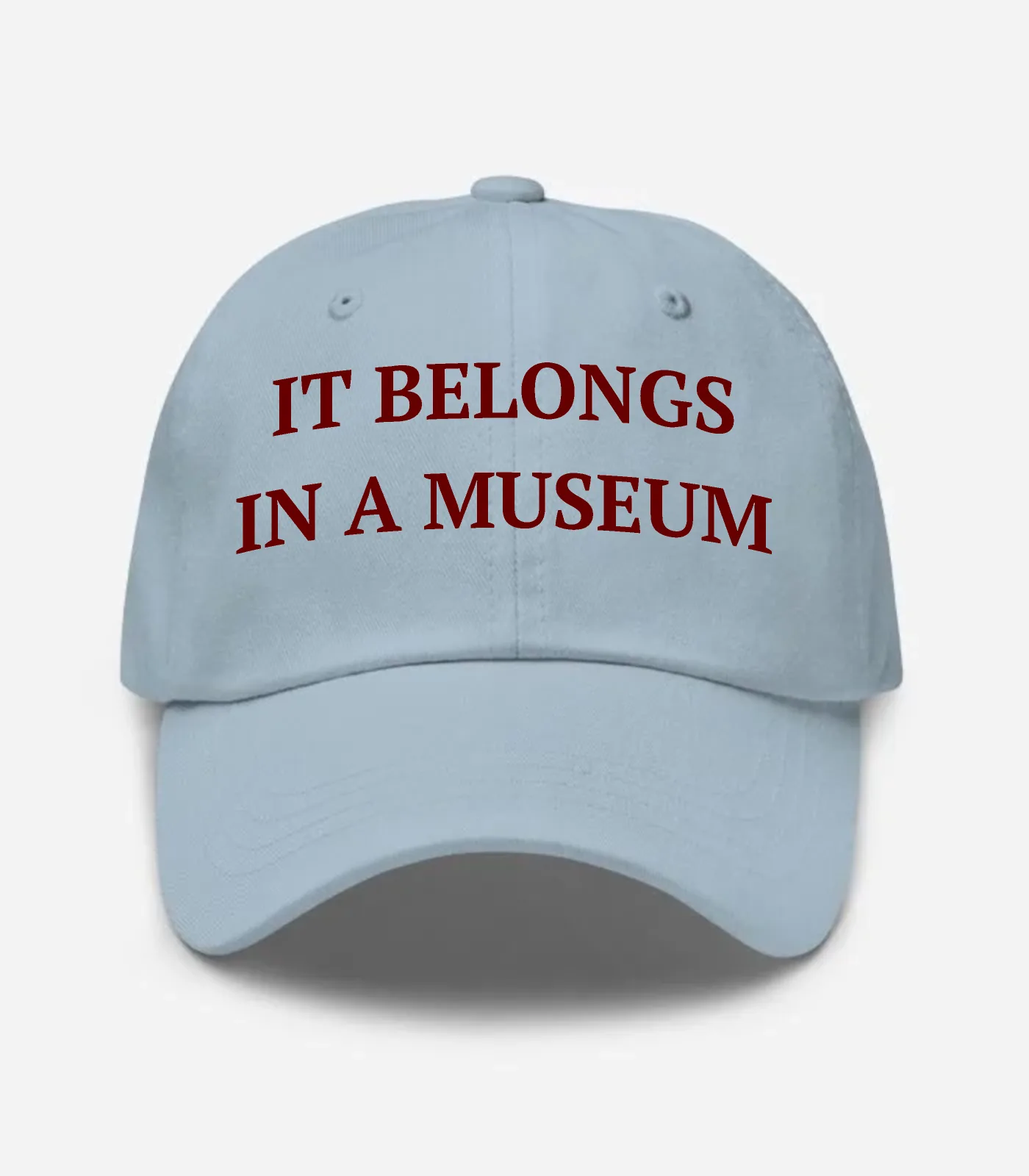 It Belongs In A Museum Hat - Light Blue