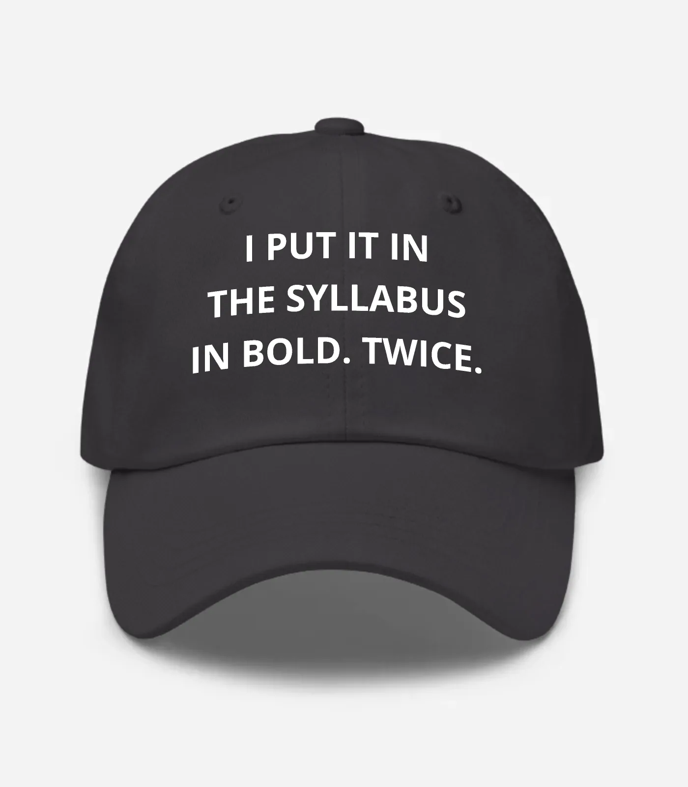 I Put It In The Syllabus In Bold. Twice. Hat - Dark Grey