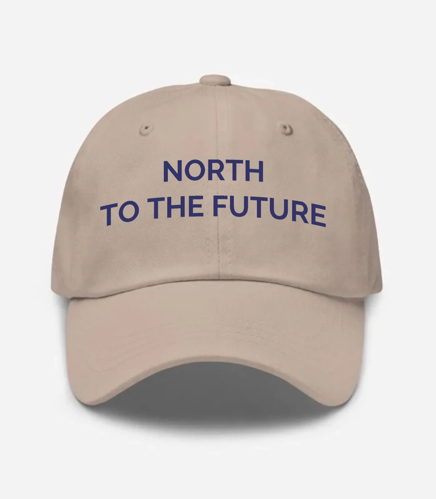 North To The Future Hat