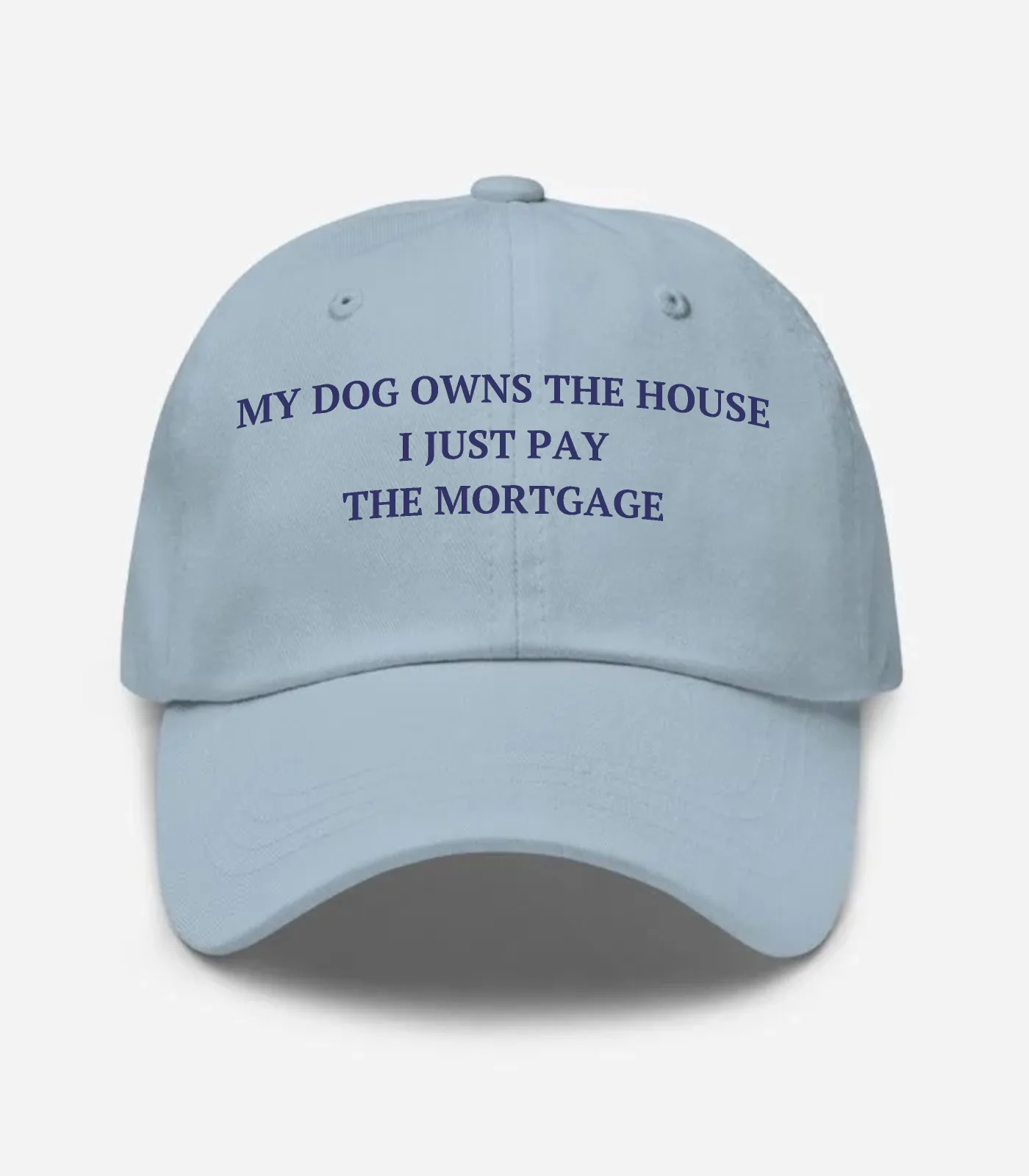 My Dog Owns The House I Just Pay The Mortgage Hat - Light Blue
