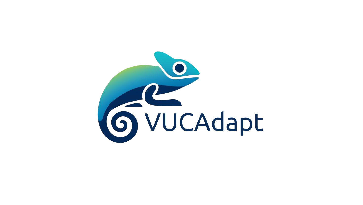 株式会社VUCAdapt
代表取締役　木村功二