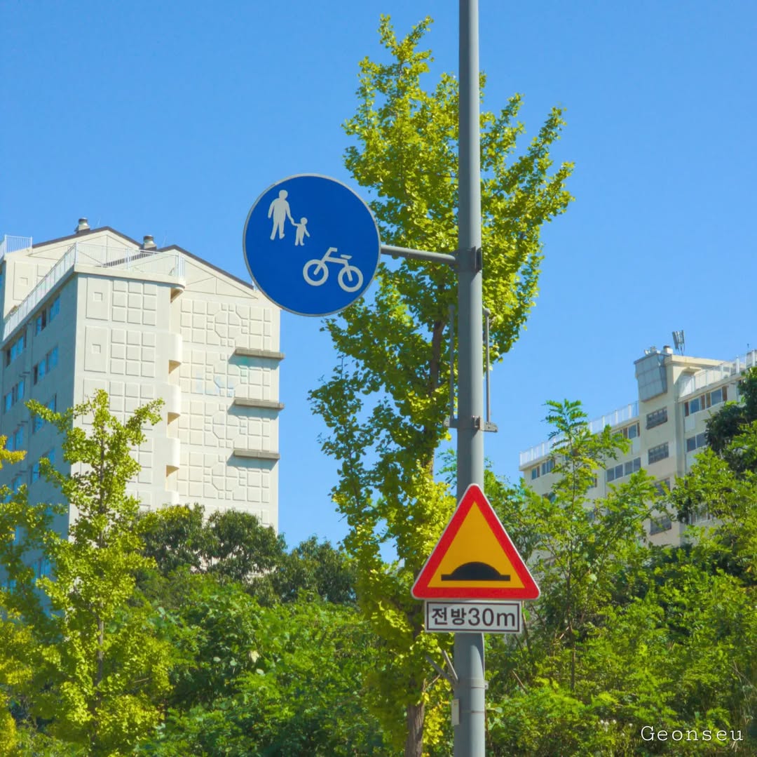 너는 세상의 모든것을 사랑하는구나