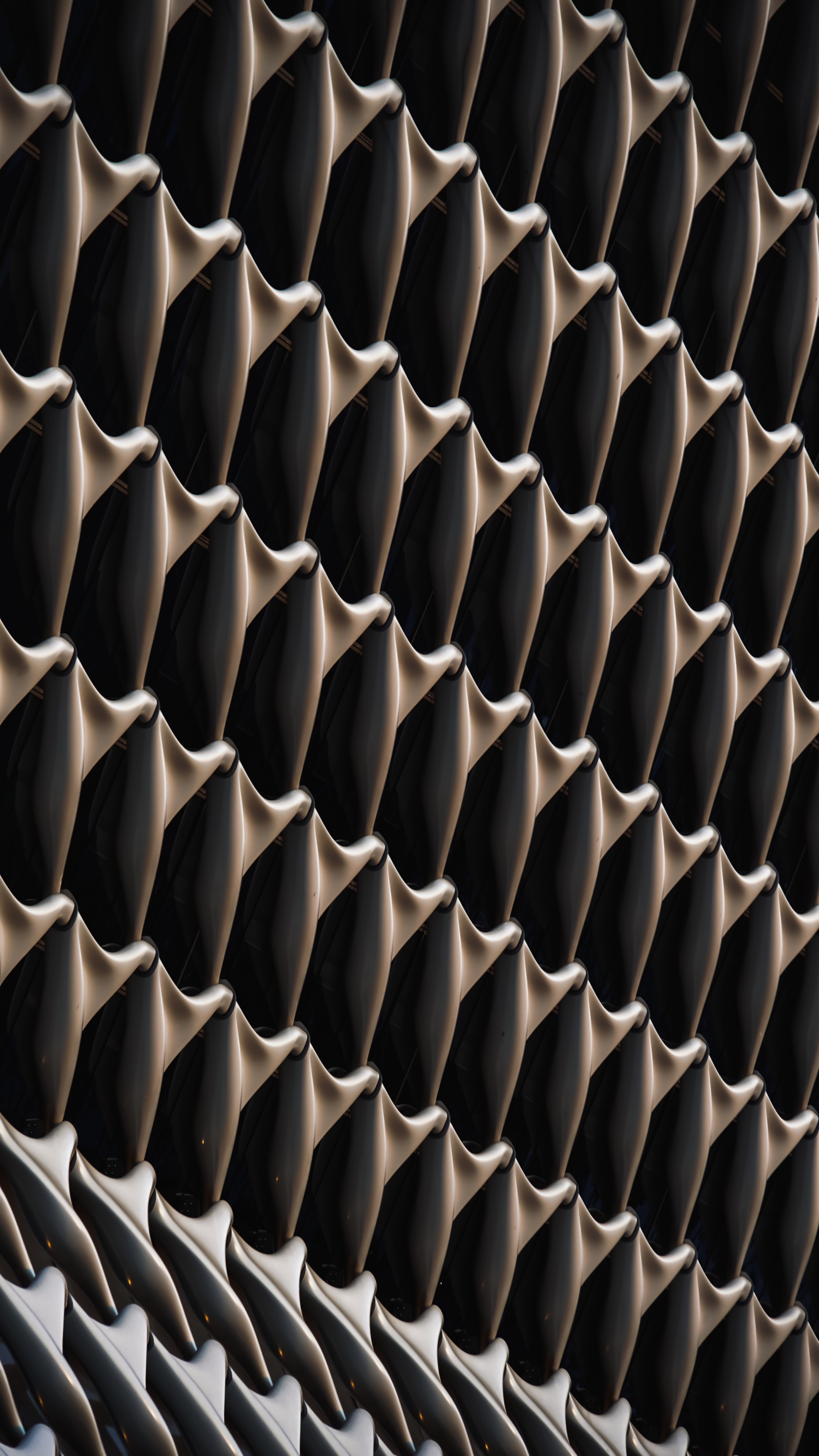 chicken bone ..? 🐓