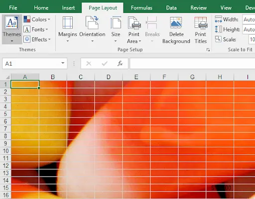 Intro To Excel Page Layout 2 example showing is selected, and you click the insert button, you see this i
