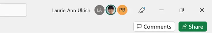 Multiple Users Logged in to Shared Workbook