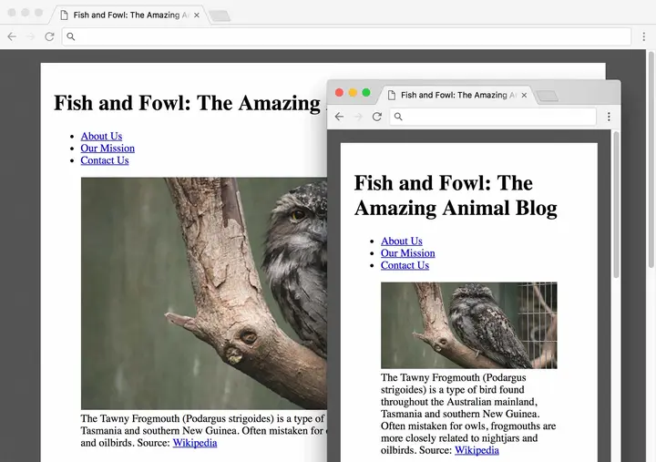 fluid layout preview