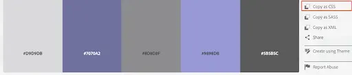Adobe Color palette with CSS color values ready to copy for web design customization