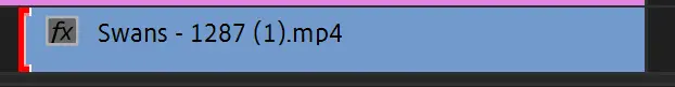 Left edge of the Swans footage clip on the Premiere Pro Timeline
