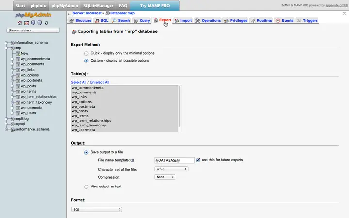 Uploading A WordPress Site