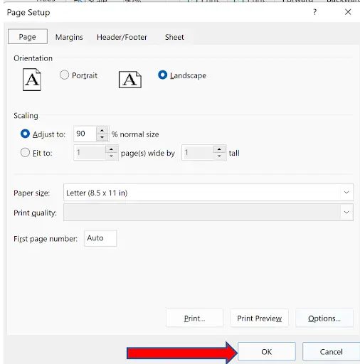 Print preview of Sheet2 now showing the same page setup settings inherited from Sheet1