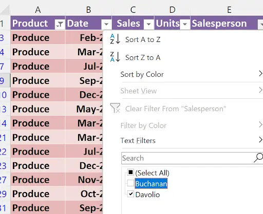 Salesperson in Filtering Data In Excel
