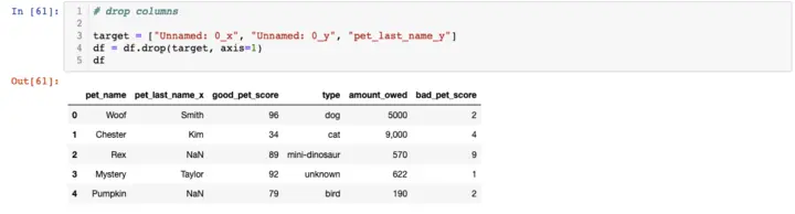 Pandas Drop Columns Example
