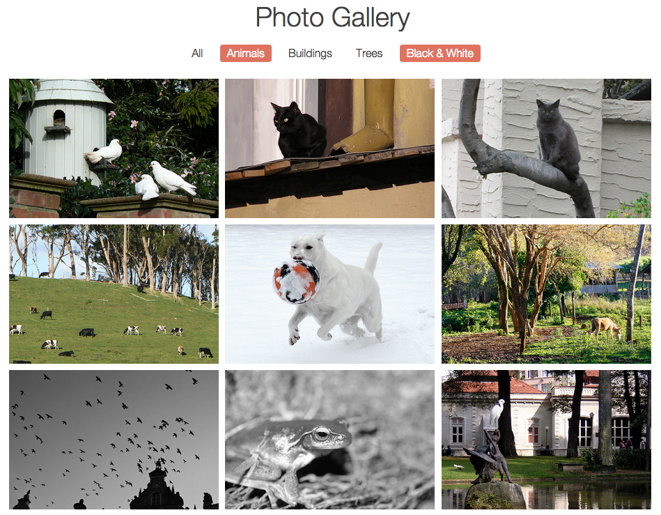 ex prev gallery inclusive filter
