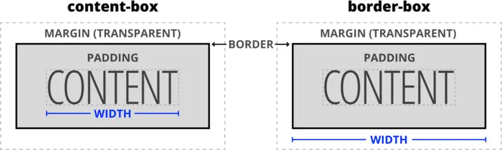 box models compared