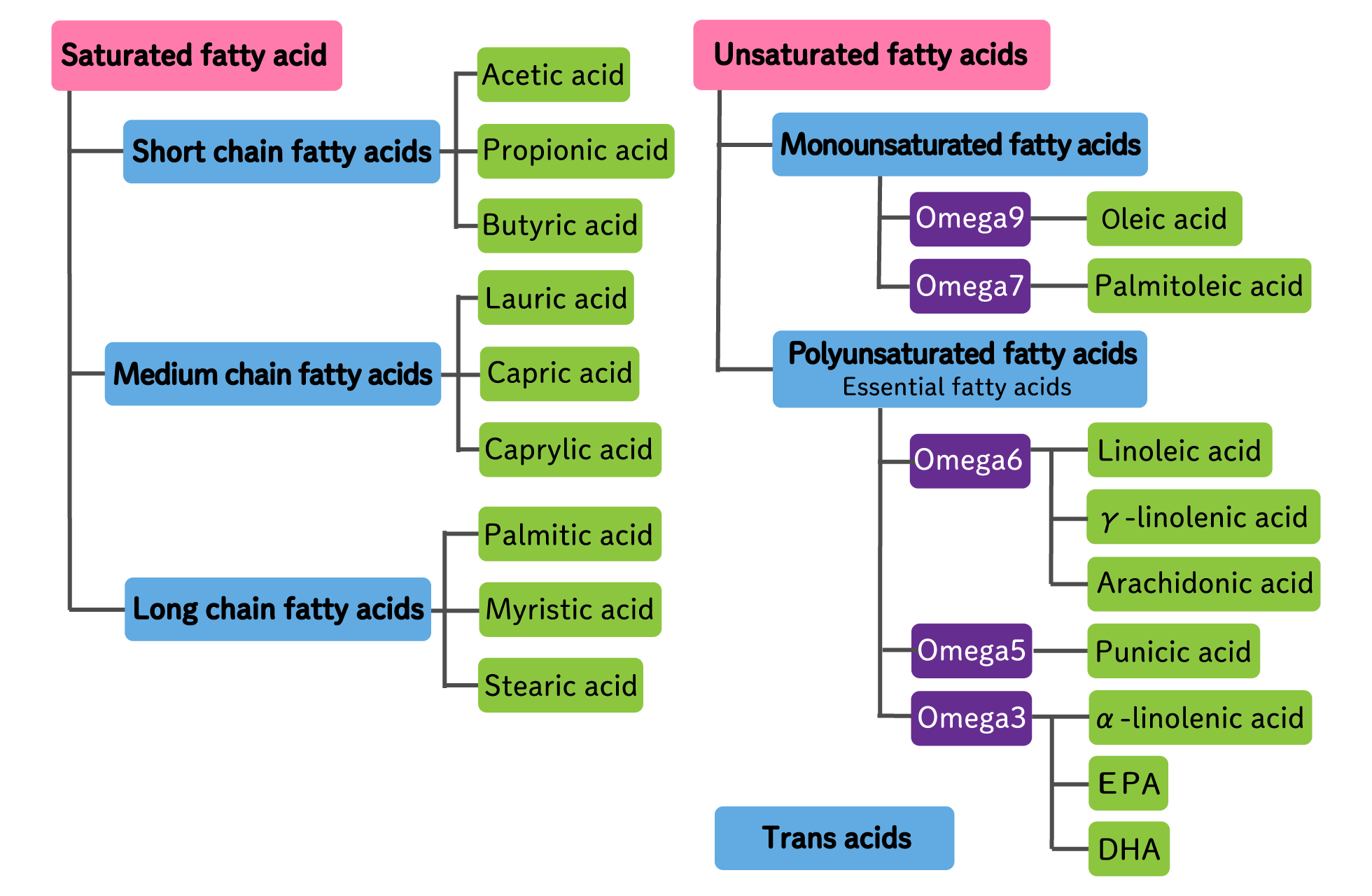 Types of fatty acids and their functions