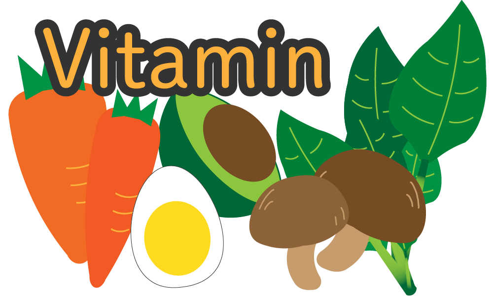 【Types and functions of fat-soluble vitamins】Take vitamins well to boost immunity !