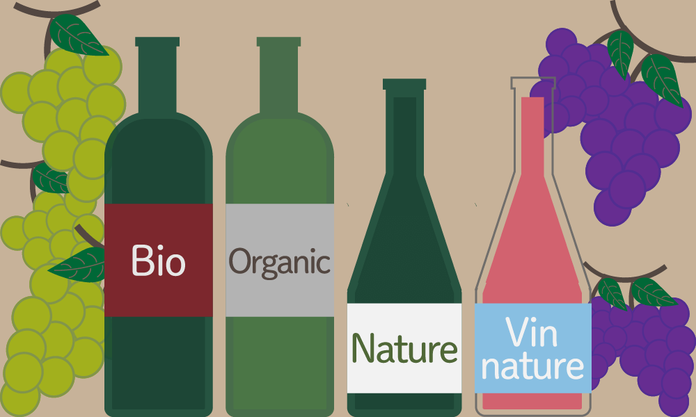 Completely additive-free wine【Vin Nature Wine】