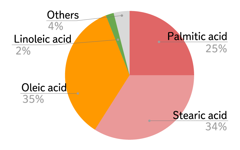 Fatty acids in cocoa butter (cocoa butter)