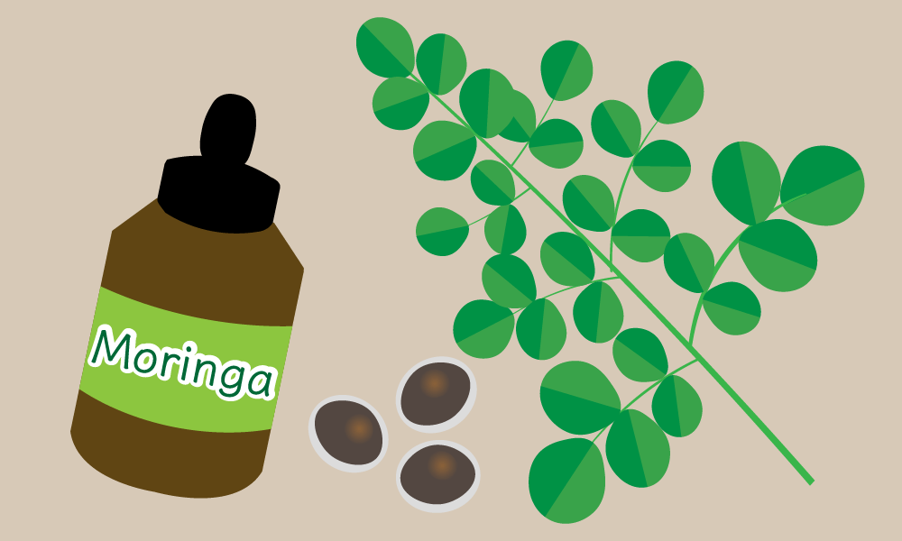 The effect of the miracle tree 【Moringa】Recommended products