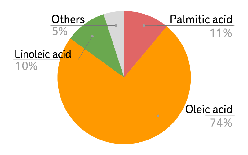 olive oil fatty acid