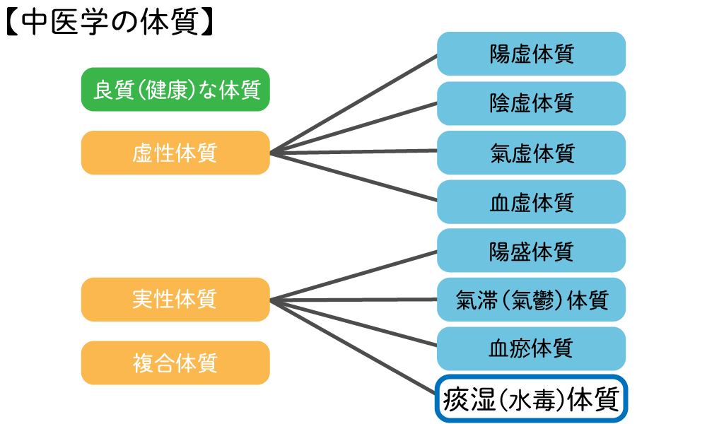 中医学体質の痰湿体質