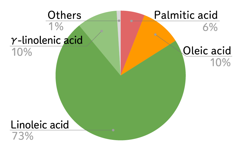 Evening Primrose Oil fatty acid