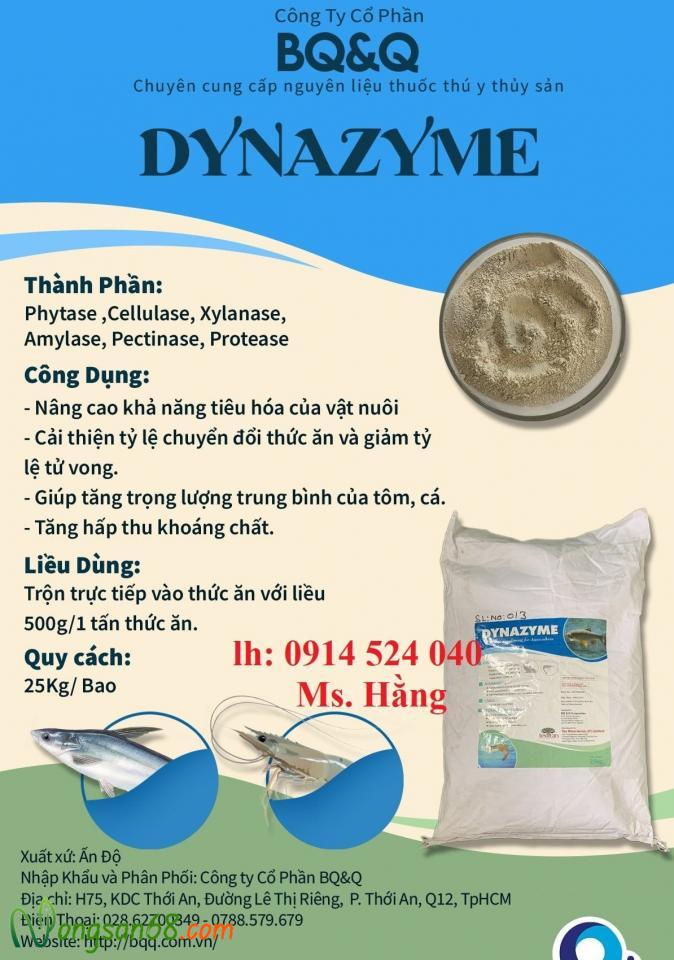 Dynazyme- enzyme hỗ trợ tiêu hoá-2