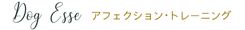 Dog Esse アフェクション・トレーニング