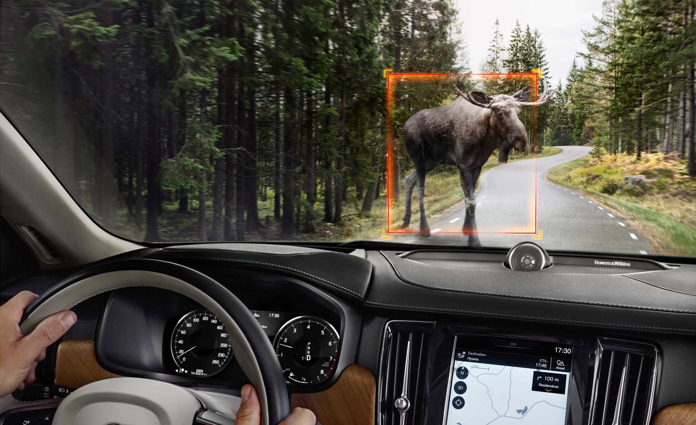 Bài kiểm tra Moose là gì?