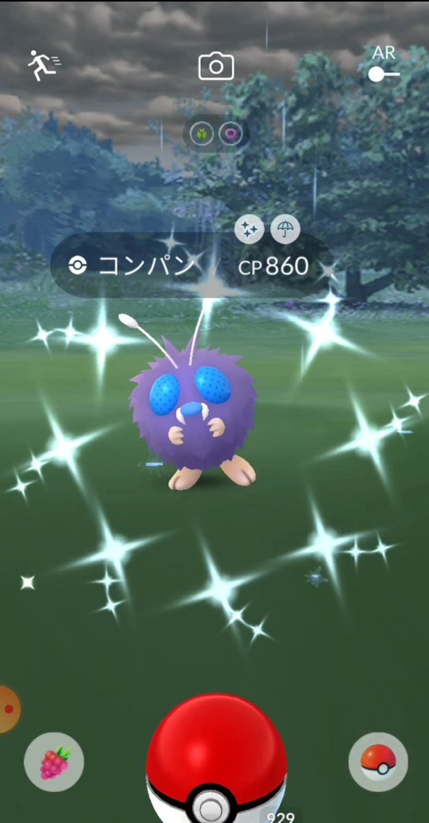 ポケモンgo 今日どーした 怖くなっちゃうぅぅぅ 午前中の通常コ ポケモンgoニュースまとめ ラピゲー