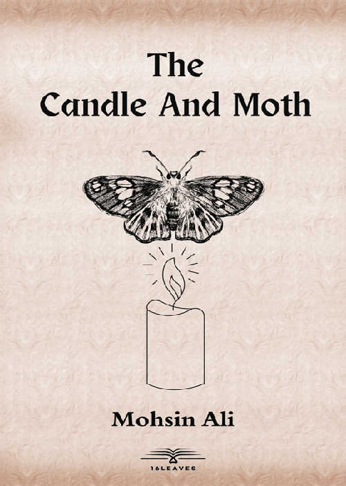 The Candle And Moth