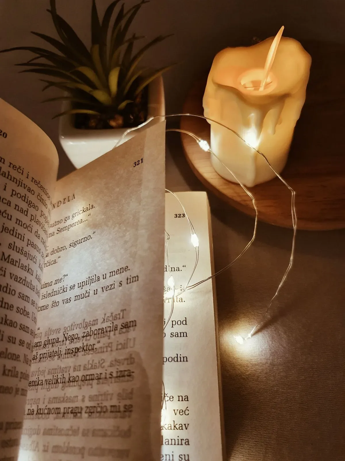 when to publish a christmas book