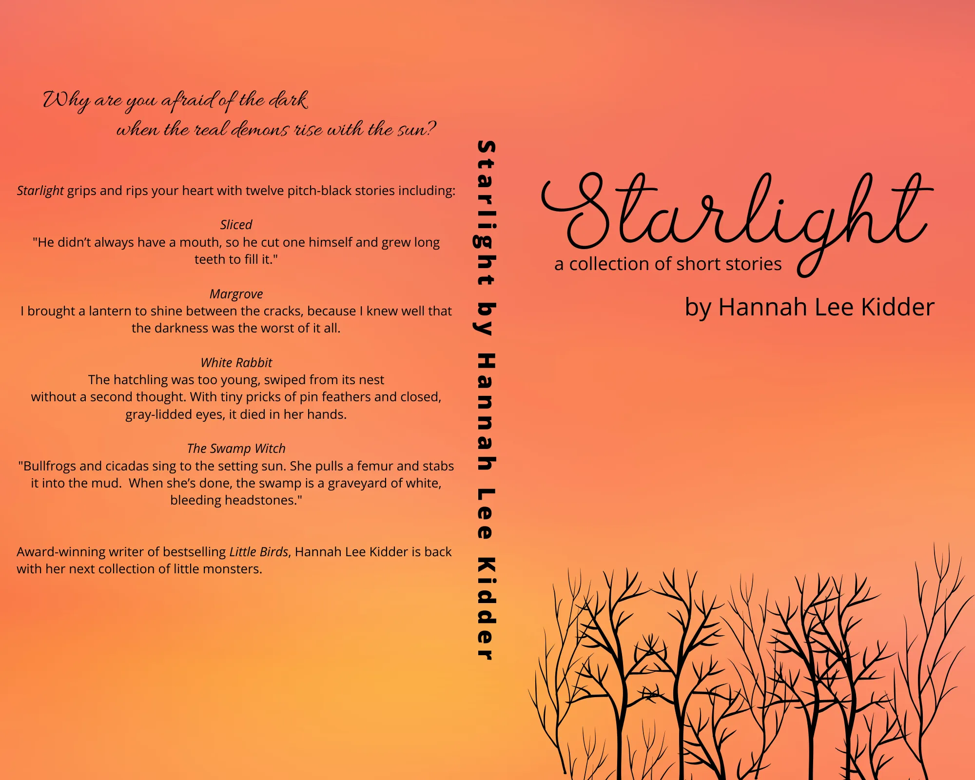 starlight by hannah lee kidder cover mockup