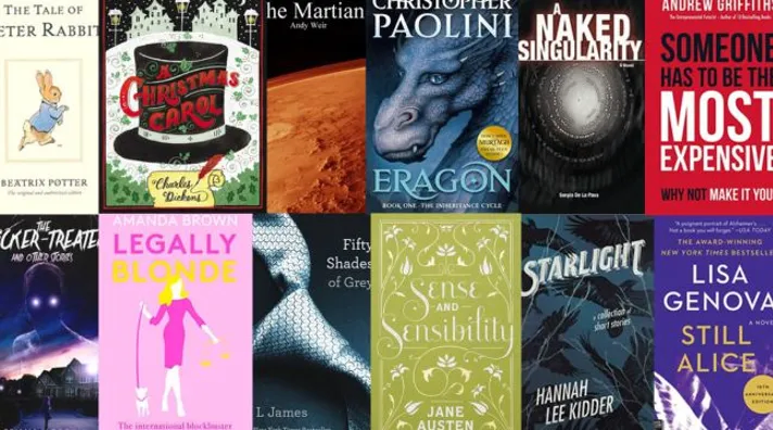  self-published books examples peter rabbit, christmas carol, the martian, eragon, a naked singularity, someone has to be the most expensive why not make it you, the tricker-treater, legally blonde, fifty shades of grey, sense and sensibility, starlight, still alice
