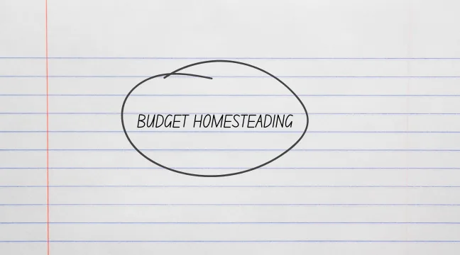  budget homesteading topic mind map