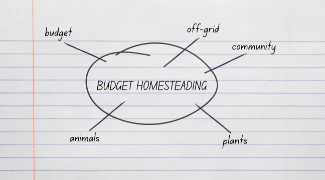  budget homesteading topics mindmap