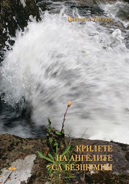 Корица на „Крилете на ангелите са безшумни“