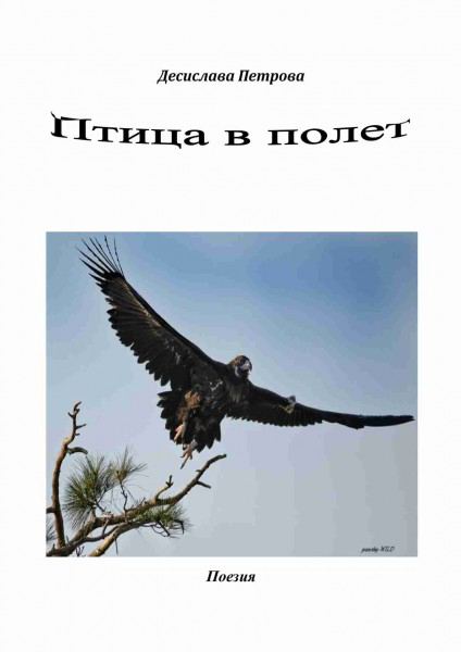 Корица на „Птица в полет“