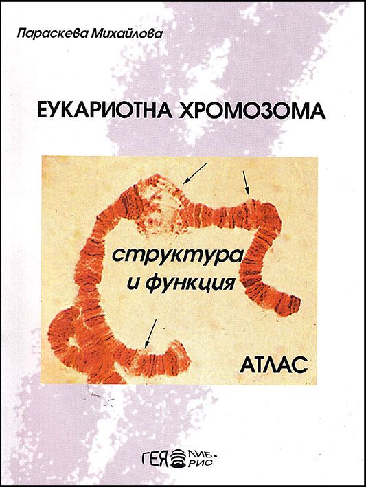 Корица на „Еукариотна хромозома - структура и функции“