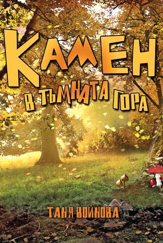 Корица на „Камен в тъмната гора“