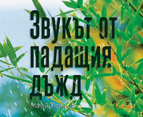 Корица на „Звукът от падащия дъжд“