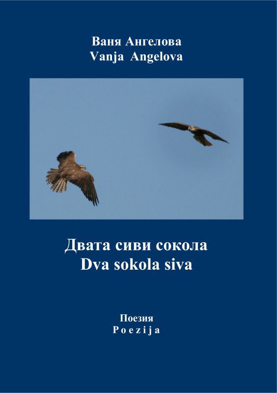 Корица на „Двата сиви сокола“