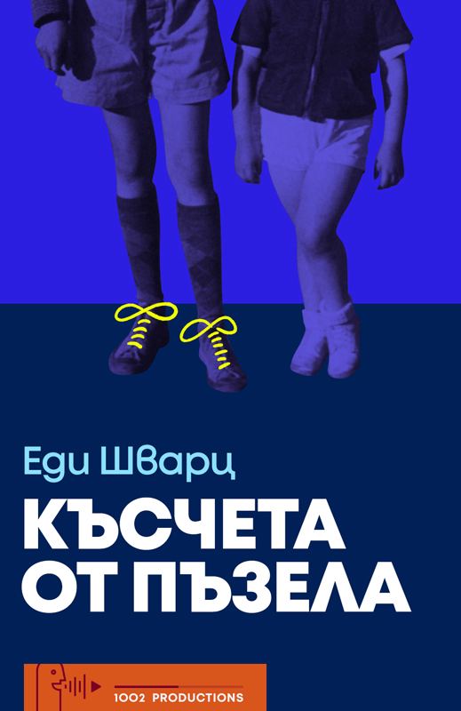 Корица на „Късчета от пъзела“