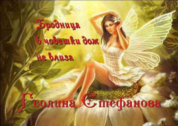 Корица на „Бродница в човешки дом не влиза“