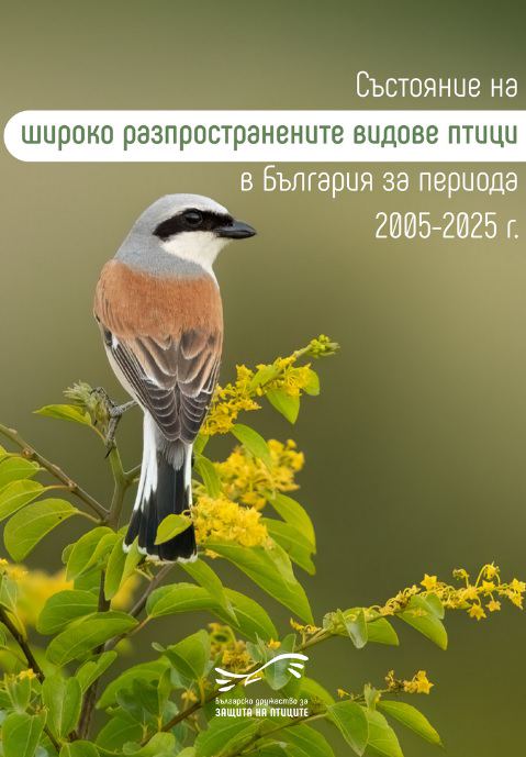 Корица на „Състояние на широкоразпространените птици в България за периода 2005-2025“