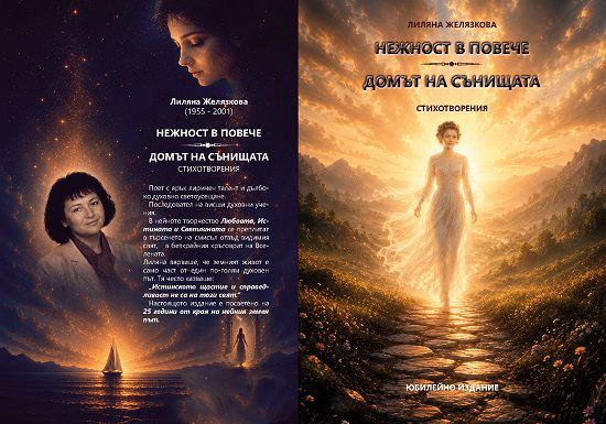 Корица на „Нежност в повече. Домът на сънищата“