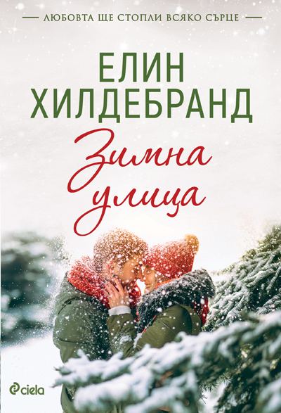 Корица на „Зимна улица“