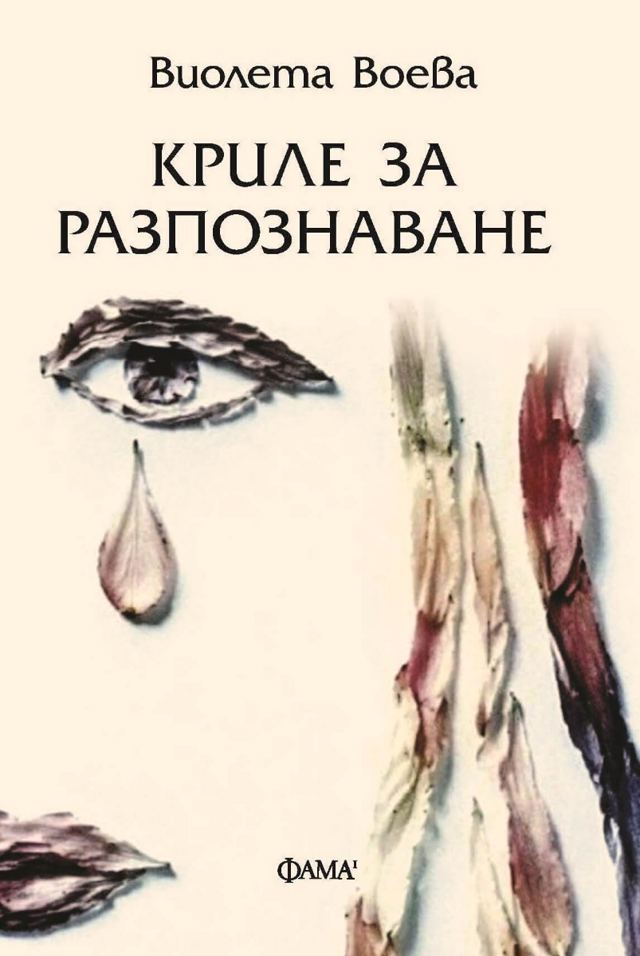 Корица на „Криле за разпознаване“