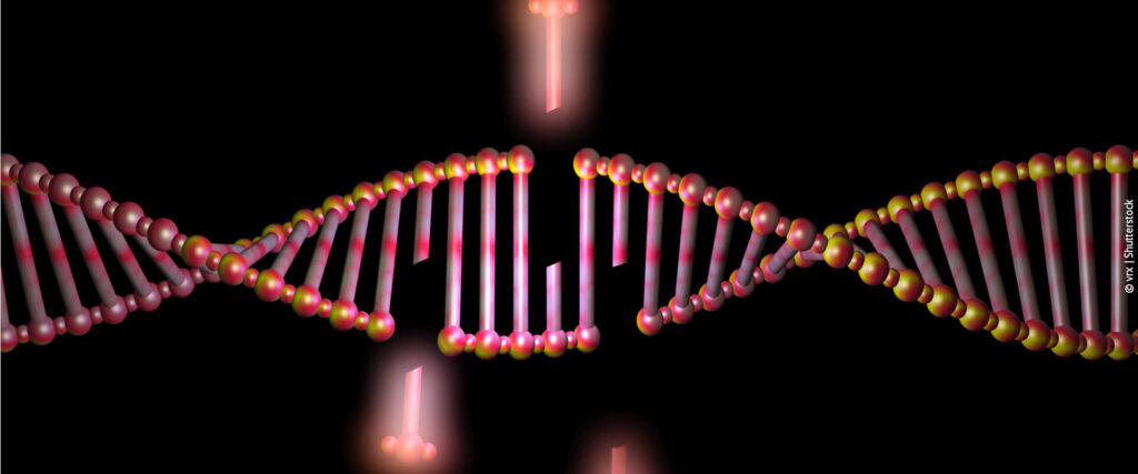 CRISPR: o que é, como funciona e quais as consequências